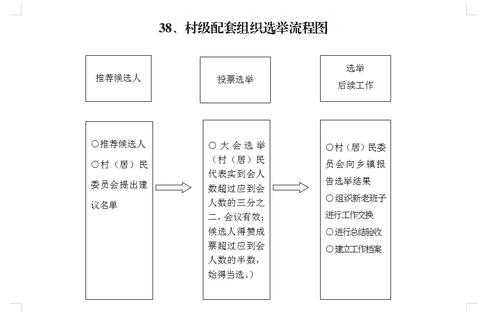 村民选举流程（村民选举的流程）-第1张图片-祥安律法网