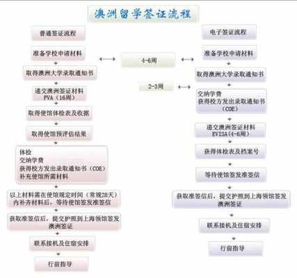 菏泽办理签证流程（菏泽办理签证流程图）-第2张图片-祥安律法网