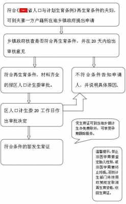 单独二胎证办理流程（单独二胎政策执行方案）-第2张图片-祥安律法网