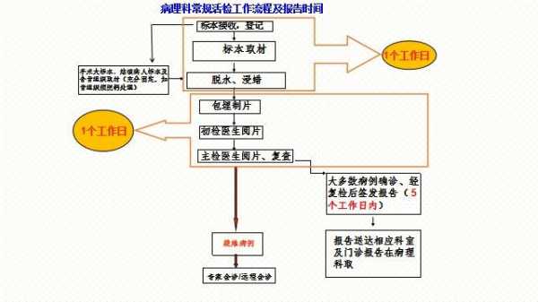 流程与时限（流程时效）-第3张图片-祥安律法网