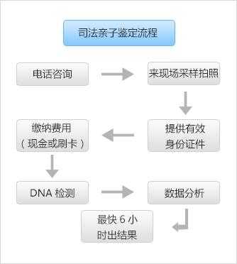 法院司法亲子鉴定流程（司法做亲子鉴定程序）-第1张图片-祥安律法网