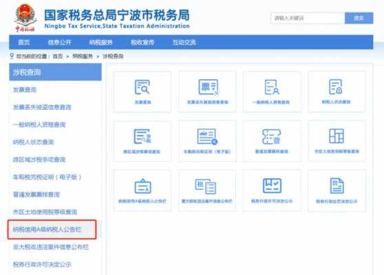 纳税认证流程（纳税认证平台）-第2张图片-祥安律法网