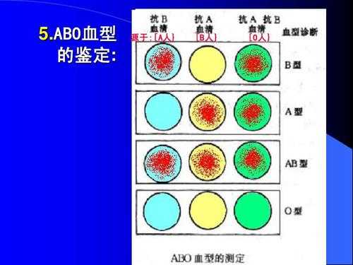 血型检查流程（血型检测方法）-第2张图片-祥安律法网