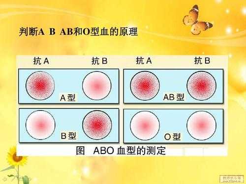 血型检查流程（血型检测方法）-第3张图片-祥安律法网