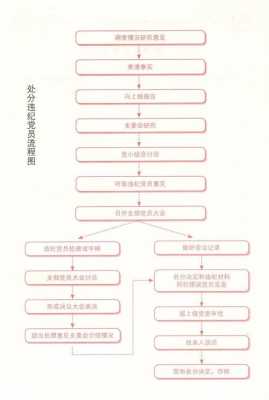 违规违纪处理流程（违规的处理办法）-第3张图片-祥安律法网