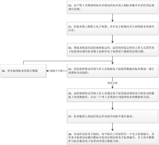 法医诊断流程（法医诊断流程是什么）-第3张图片-祥安律法网