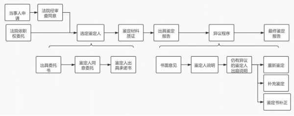 法院鉴定证据真伪流程（法院鉴定程序规定）-第1张图片-祥安律法网