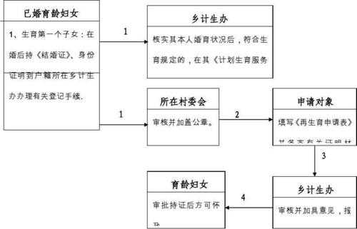 正常生育流程（生育的流程）-第2张图片-祥安律法网