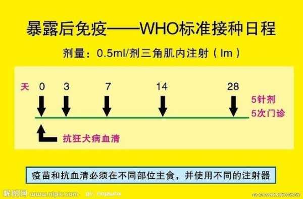 打狂犬疫苗接种流程（打狂犬疫苗接种流程图）-第3张图片-祥安律法网