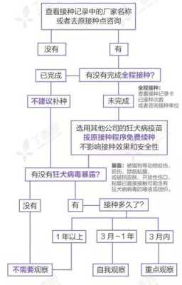 打狂犬疫苗接种流程（打狂犬疫苗接种流程图）-第1张图片-祥安律法网