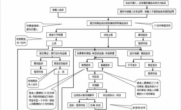 刑事自诉流程（刑事诉讼流程）-第3张图片-祥安律法网