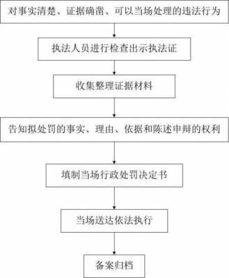 食药监管执法流程（食药监管执法流程图片）-第1张图片-祥安律法网