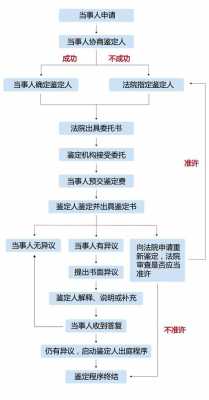 伤情鉴定重新鉴定流程（伤情鉴定重新鉴定流程图）-第2张图片-祥安律法网