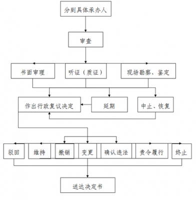 复议诉讼流程（复议审理方式）-第3张图片-祥安律法网