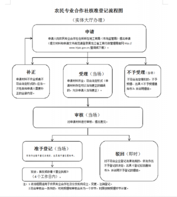 分机构办理流程（如何办理公司分机构）-第3张图片-祥安律法网