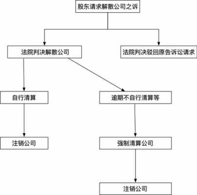 股东申请解散流程（股东身份的解除）-第3张图片-祥安律法网