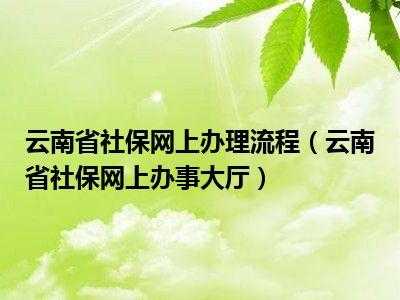 云南办理社保流程（云南办理社保流程及手续）-第2张图片-祥安律法网