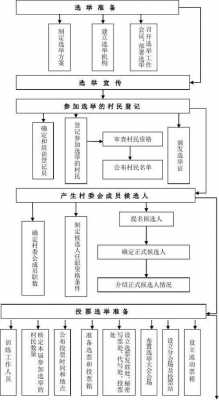 村长选举流程（村长选举法）-第3张图片-祥安律法网