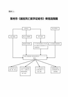 死亡报告的流程（死亡报告的流程包括）-第1张图片-祥安律法网