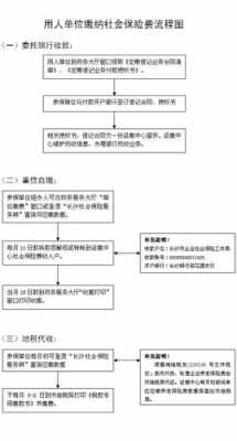 长沙个人缴纳社保流程（长沙个人缴纳社保流程图）-第3张图片-祥安律法网