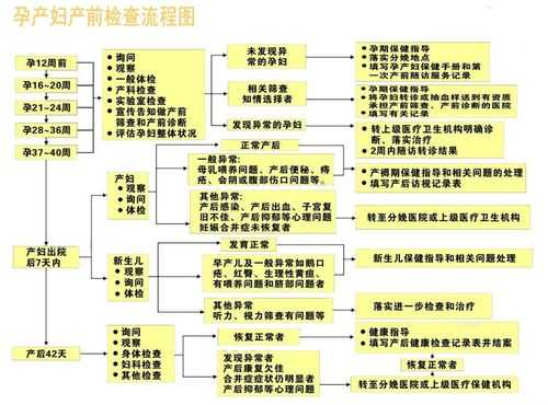 武汉产检费用报销流程（武汉产检费用报销流程及手续）-第1张图片-祥安律法网