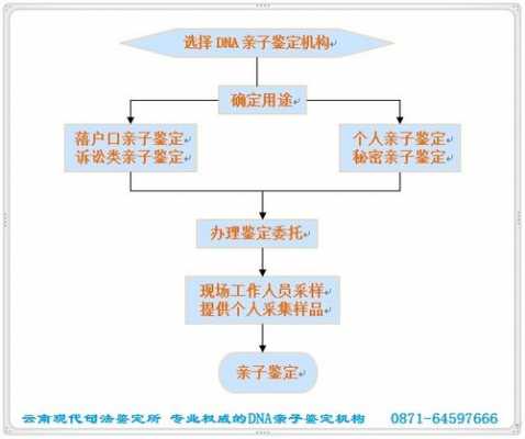 青岛亲子鉴定流程（青岛亲子鉴定流程及费用）-第3张图片-祥安律法网