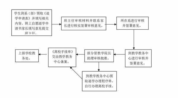 大学退学复读办理流程（大学退学复读怎么办理手续）-第2张图片-祥安律法网