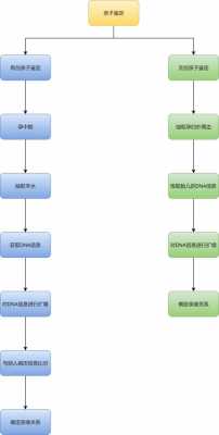 亲子鉴定分析流程（亲子鉴定的过程）-第3张图片-祥安律法网