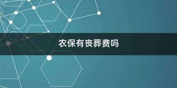 湖北农村老人丧葬流程（湖北农村丧葬费2020年丧葬费标准）-第3张图片-祥安律法网