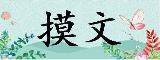 摸文流程（摸访是什么意思）-第1张图片-祥安律法网