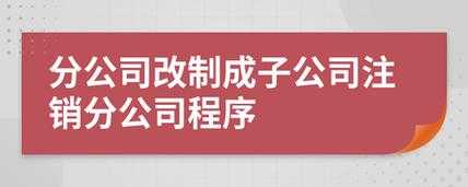 子公司改制流程（子公司改制流程怎么写）-第1张图片-祥安律法网