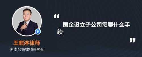 子公司改制流程（子公司改制流程怎么写）-第3张图片-祥安律法网