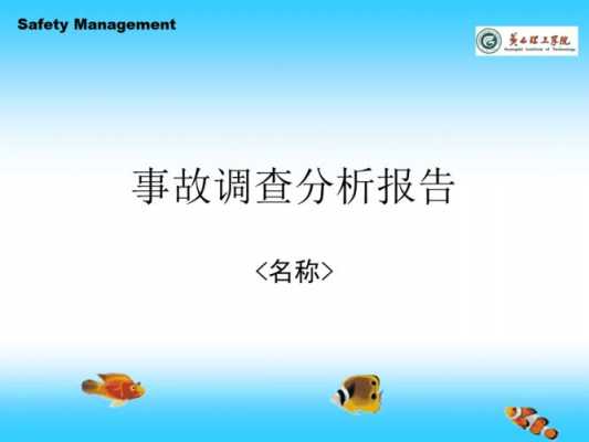 事故分析调查流程（事故分析调查报告范文）-第3张图片-祥安律法网