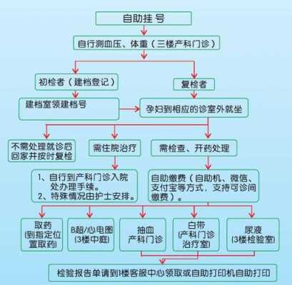 产妇预约生产医院流程（生孩子预约医院）-第1张图片-祥安律法网