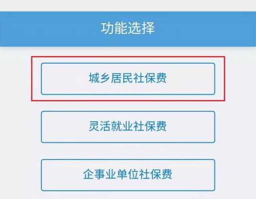 社保网自主缴费流程（社保网自主缴费流程视频）-第1张图片-祥安律法网