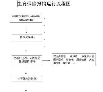 生育险审核流程（生育险审核流程网上怎么查询）-第3张图片-祥安律法网