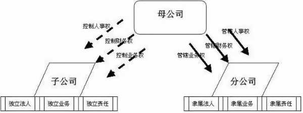 外地开设分公司流程（外地开分公司怎么纳税）-第2张图片-祥安律法网