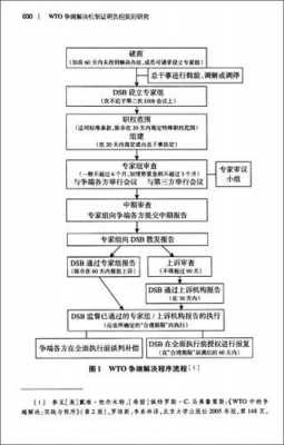 wto争端解决流程（wto 争端解决）-第1张图片-祥安律法网