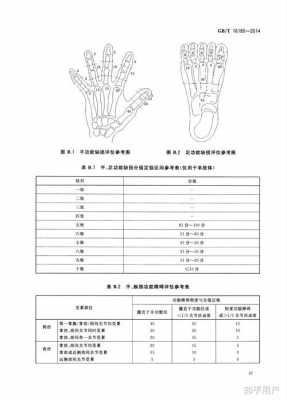 手指评级流程（手指头评级能评到十级大概有多少钱）-第1张图片-祥安律法网