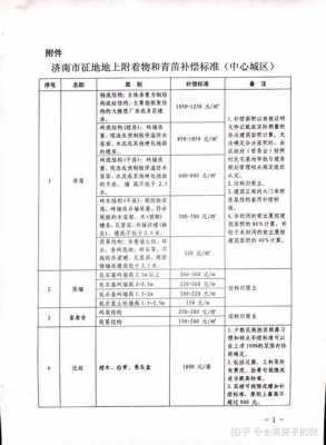 济南征地补偿流程（济南征地补偿文件2018）-第1张图片-祥安律法网