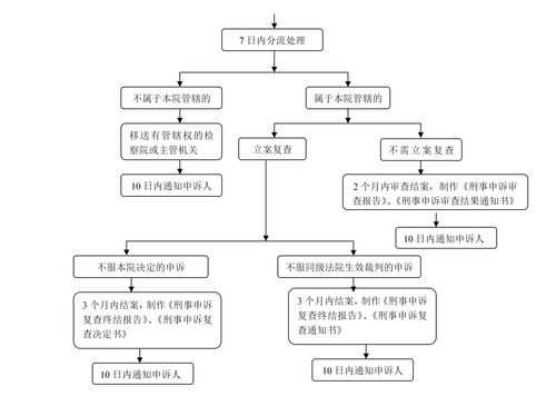 办案服务流程（案件办案流程）-第3张图片-祥安律法网