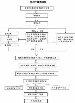 办环评流程是什么（办环评的流程是什么）-第1张图片-祥安律法网