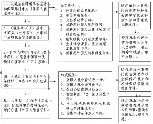 外国人就业证办理流程（外国人就业证办理费用多少费用）-第3张图片-祥安律法网