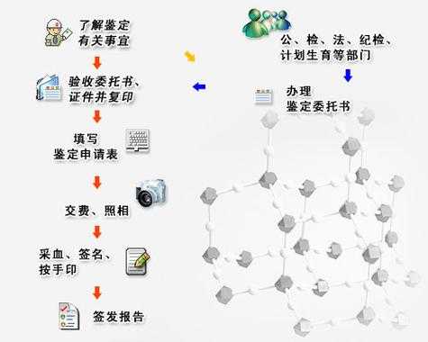 亲子鉴定怎么个流程（亲子鉴定一般怎么操作的）-第1张图片-祥安律法网