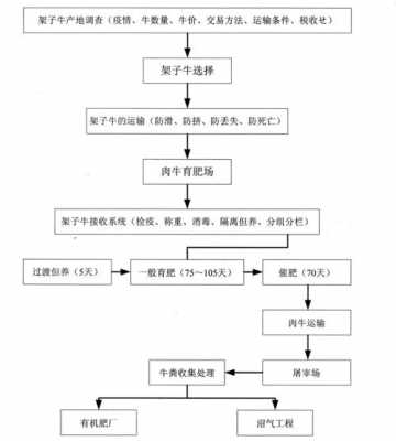 养殖基地流程（养殖基地流程设计）-第1张图片-祥安律法网