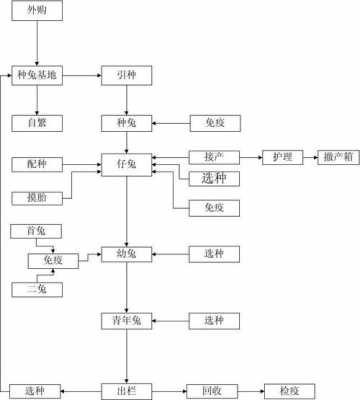 养殖基地流程（养殖基地流程设计）-第3张图片-祥安律法网