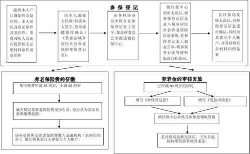 养老保险保险流程（养老保险怎么操作）-第3张图片-祥安律法网