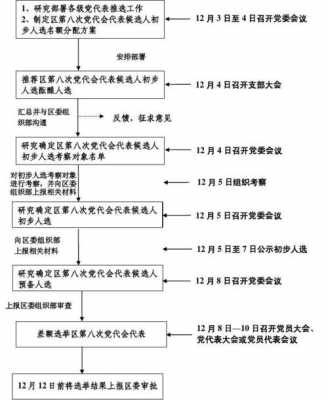 重新选举流程（重新举行大选）-第1张图片-祥安律法网