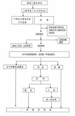 刑事自诉案件立案流程（刑事自诉案件立案流程）-第2张图片-祥安律法网