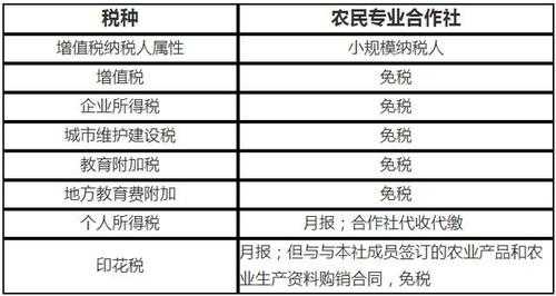 农业企业做账流程（农业企业会计做账流程）-第3张图片-祥安律法网